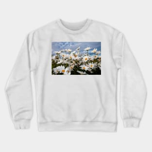 Wild Ox-eye daisies Crewneck Sweatshirt